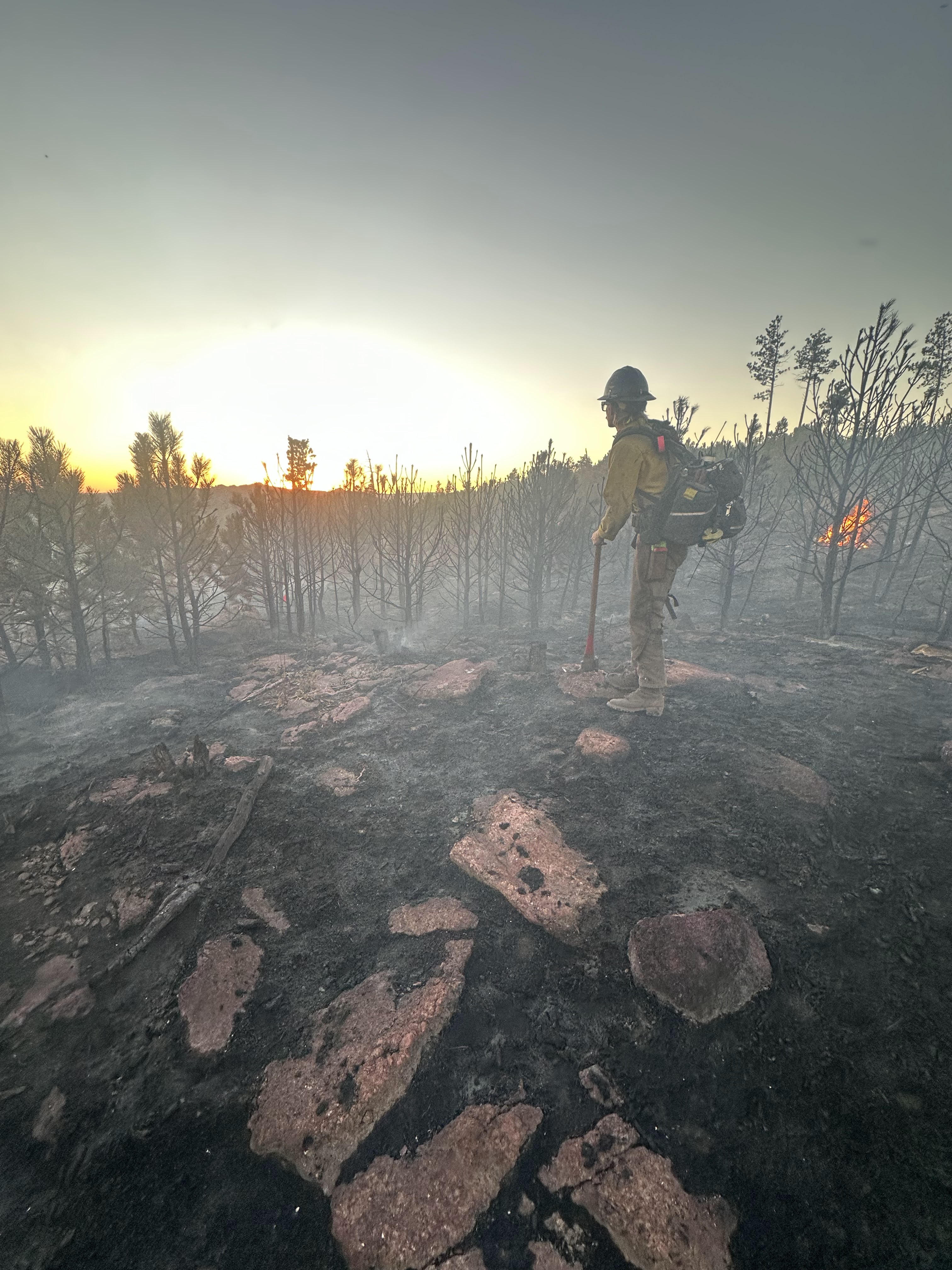Image of Black Hat handcrew member standing on side hill looking over a burned out landscape