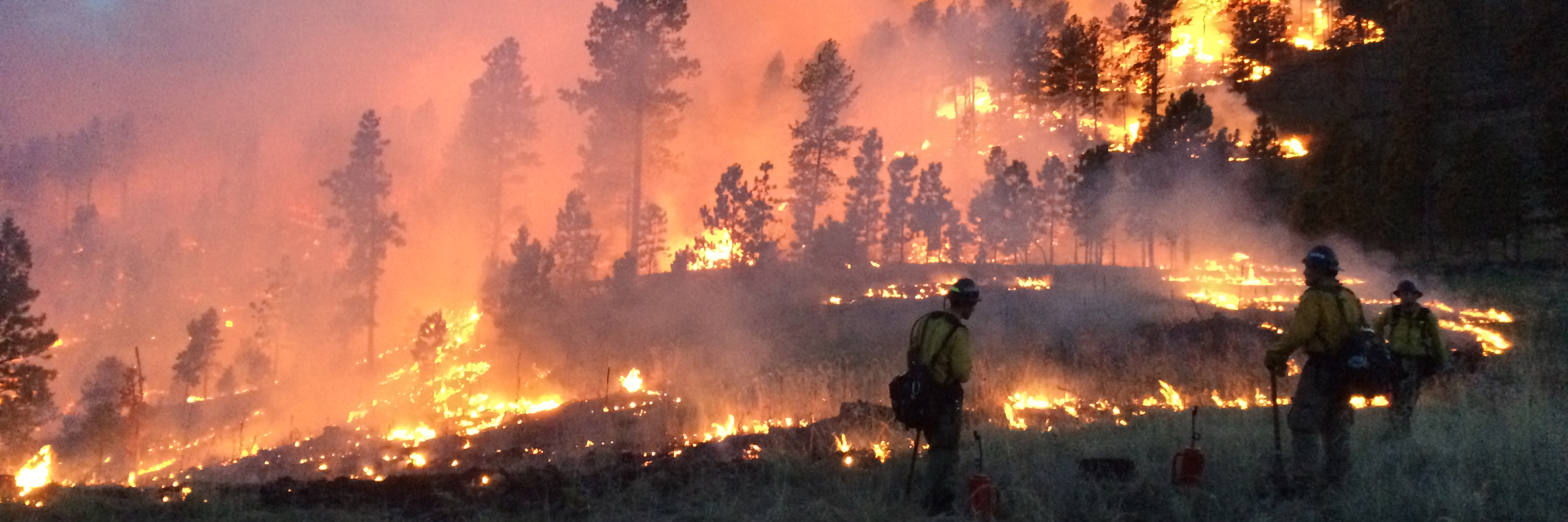 Image of wildland firefighters in the foreground with fire burning a wooded area in the background