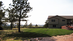 Image of house with green yard and pine trees in the summer