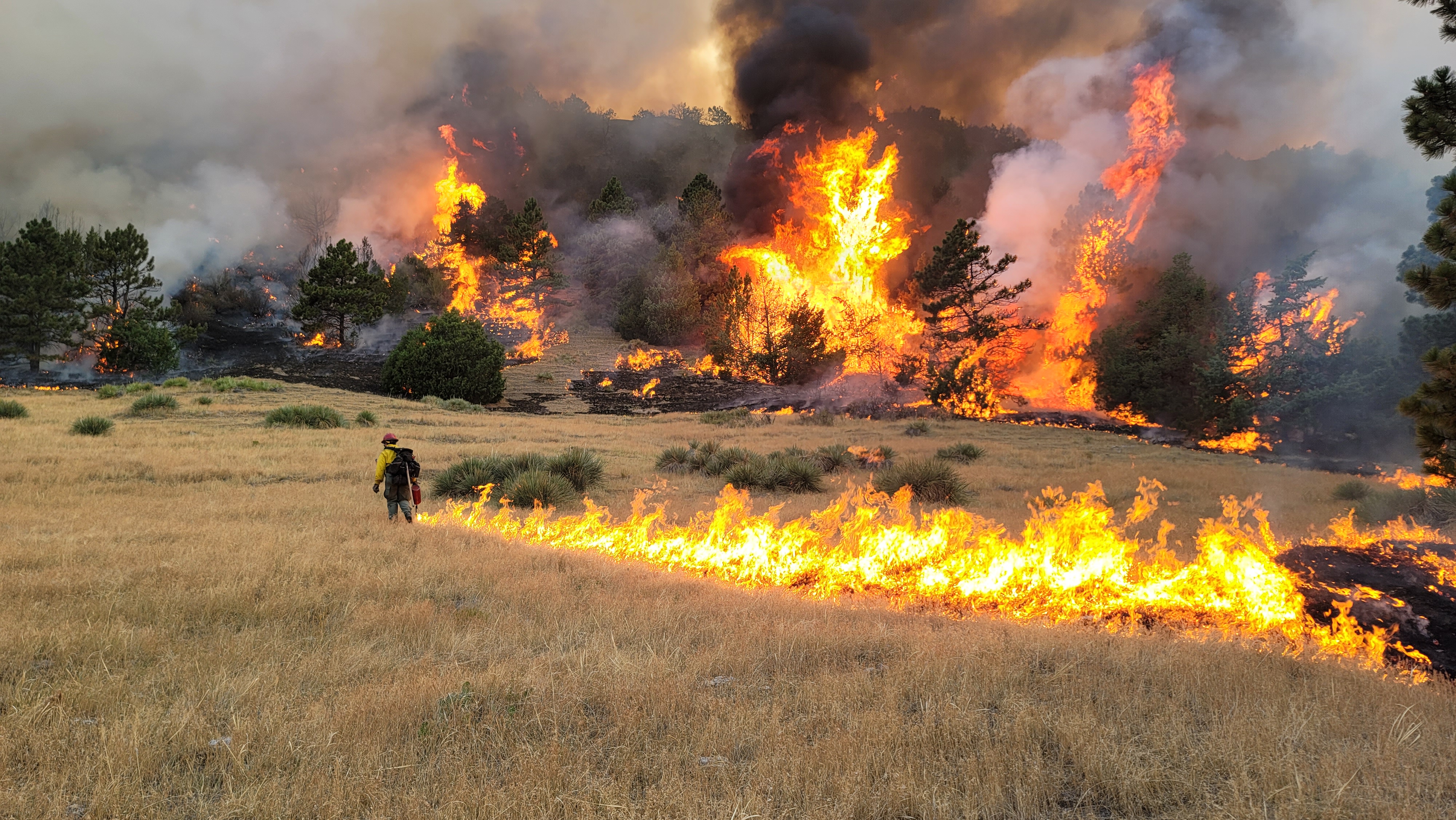 Image of SD Wildland Fire fighters burning grasses for controlled burn