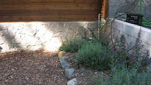 Image of vegetation next to retaining wall around a house in the summer