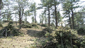 Image of rocky ground with several burn piles made