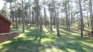 Image of wooded area about 30 feet from the side of a home